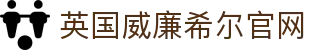 英国·威廉希尔(WilliamHill)中文官网-Official Website